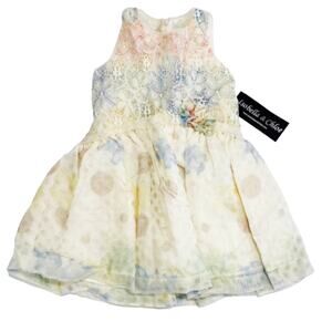 NWT Isobella & Chloe Size 4 Watercolor Petal Lace Dress